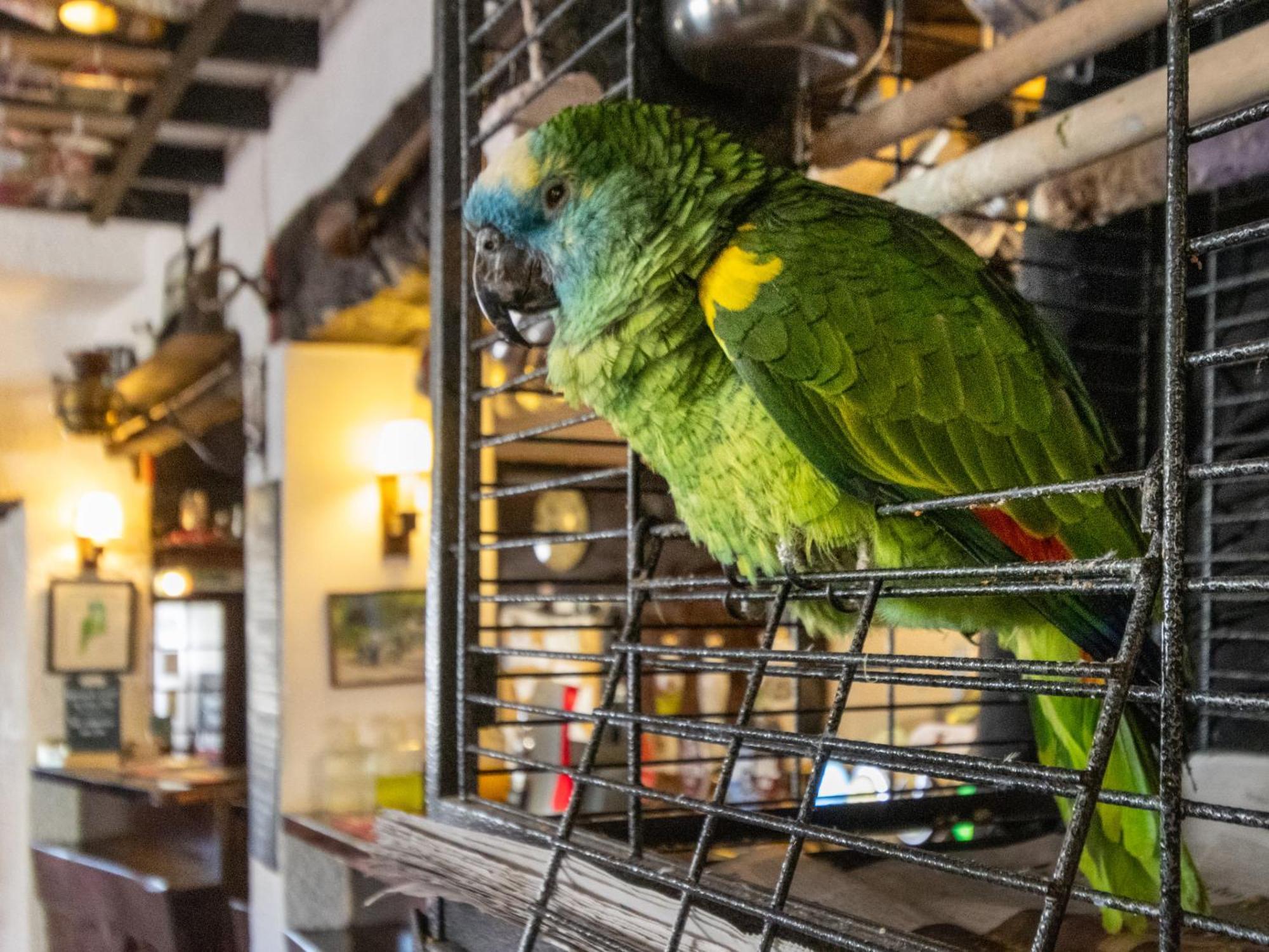 New Inn Crediton Ngoại thất bức ảnh